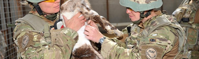 22 nov – El papel del veterinario en las Fuerzas Armadas. Salidas profesionales.